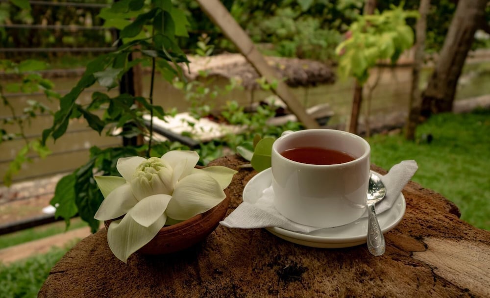 Ayur Ayur Ayurveda Retreat