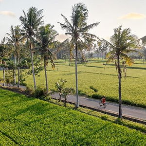 Sejur Thewakanda Resort A Pramana Experience vacanta Gianyar