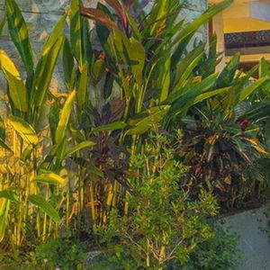 Hotel Grand Kesambi cazare Kerobokan