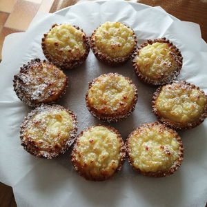 Hotel Villa Oasi cazare Pisa