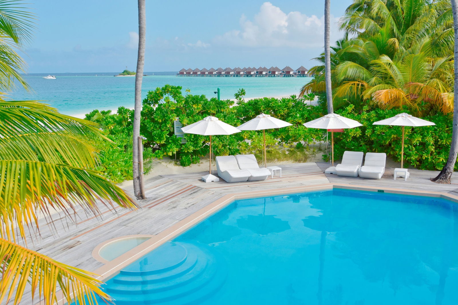 Hotel Safari Island Resort & Spa