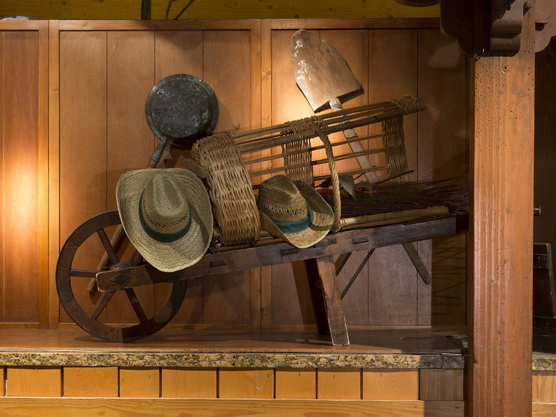 Disney Hotel Cheyenne