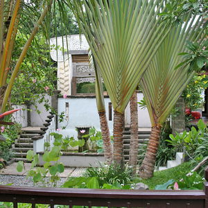 Sejur Abian Biu Mansion vacanta Kerobokan