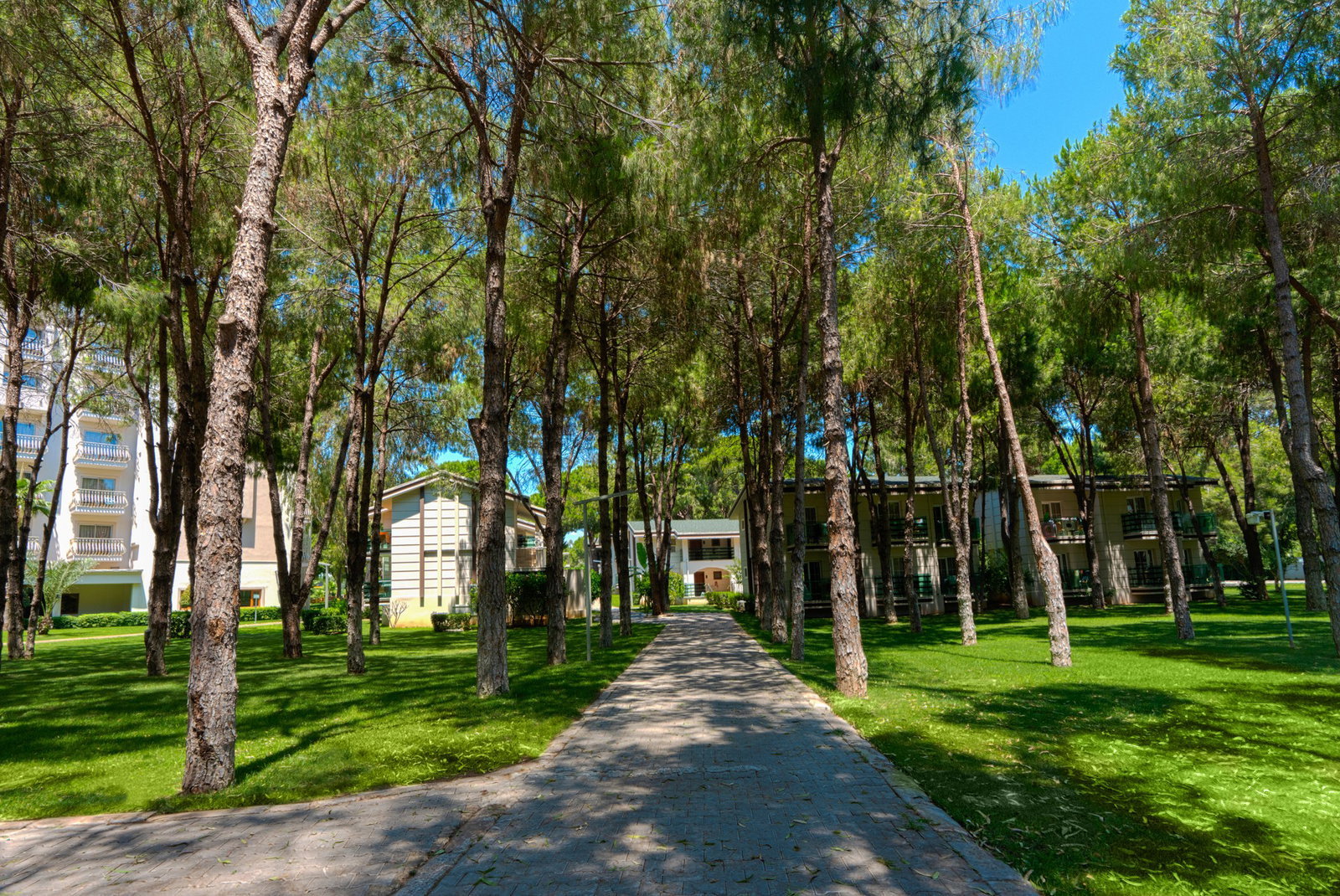 dal travel Tui Magic Life Masmavi