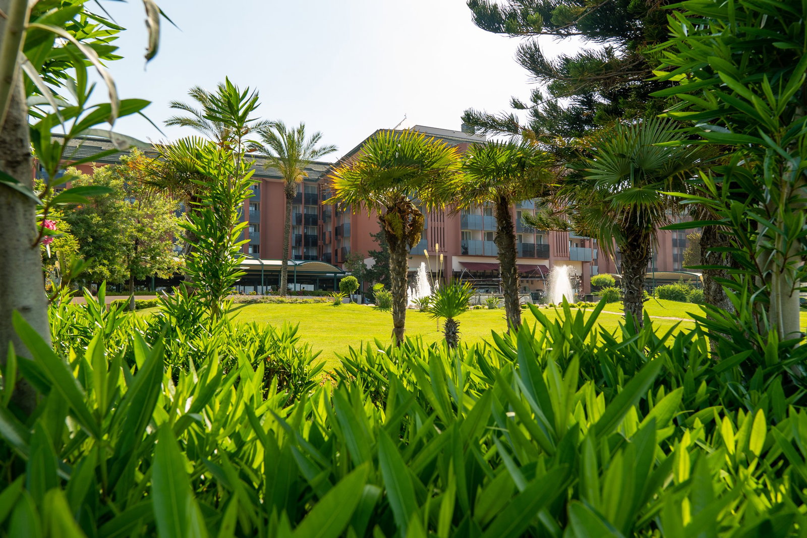 dal travel Aqi Pegasos Resort