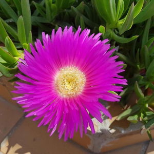 Hotel Las Ventas cazare Utebo
