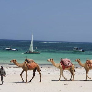 Hotel Asha Boutique Hotel cazare Diani Beach