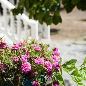 Hotel Areti Orfeas Apartment 6 cazare Vasilikos