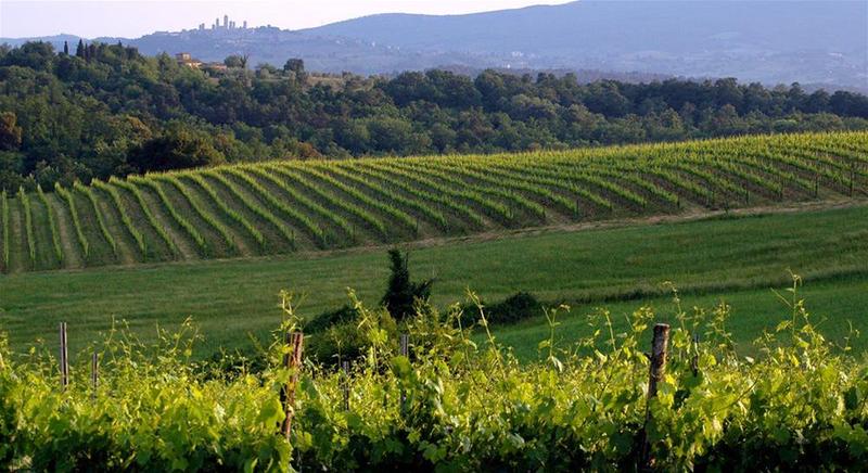 Hotel Borgo Di Cortefreda