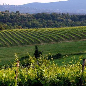 Hotel Borgo Di Cortefreda cazare Tavarnelle Val di Pesa