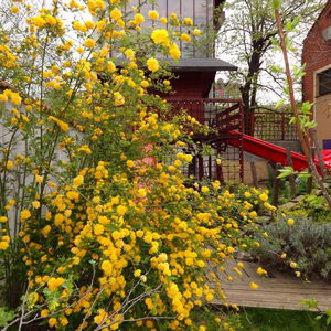 Hotel Villa Zorba cazare Bucuresti