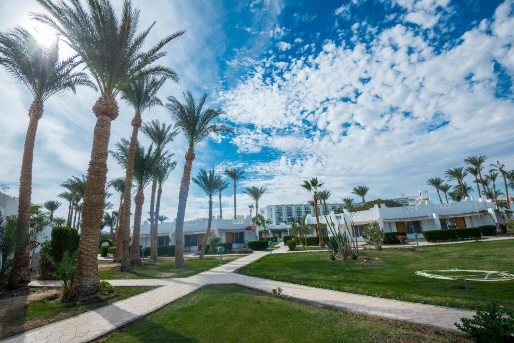 Hotel Shams Safaga Resort