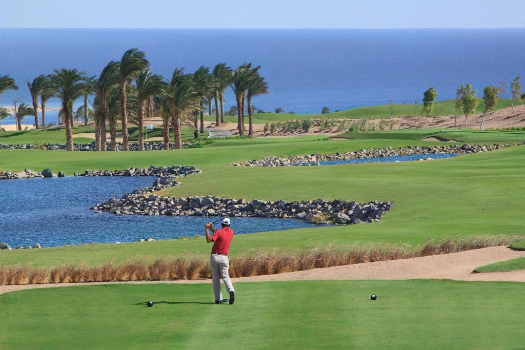 dal travel Jaz Makadi Saraya Resort