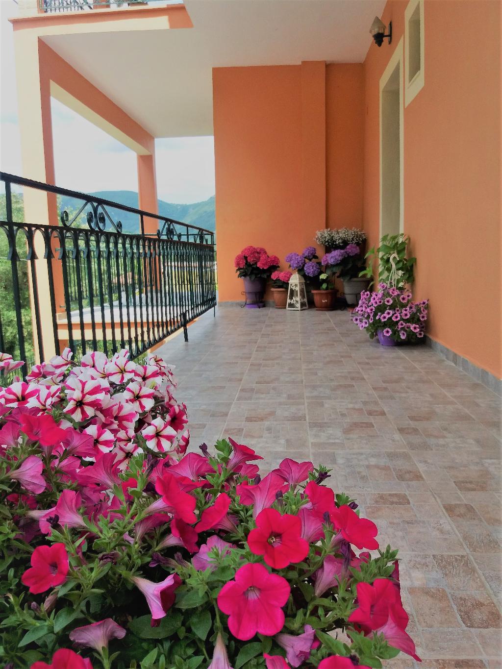 Hotel Ziogas Apartments
