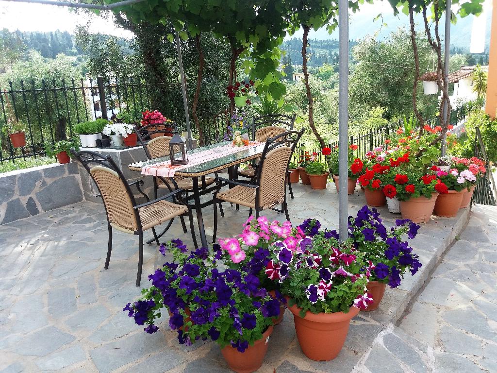 Ziogas Apartments