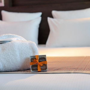 Hotel Nash Pratik Hotel cazare Geneva