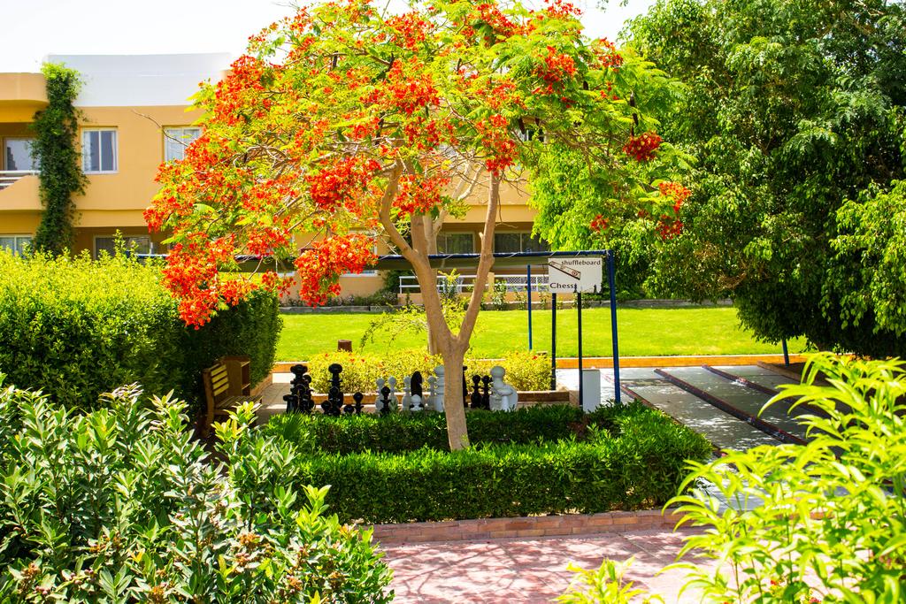 dal travel Hurghada Golden Beach Resort