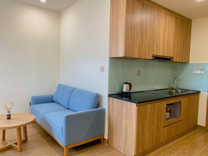 Hotel Ph Hotel & Apartment cazare Haiphong