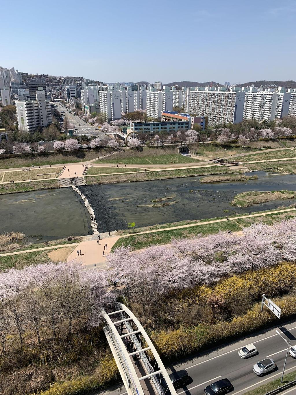 Hotel Gold River Hotel