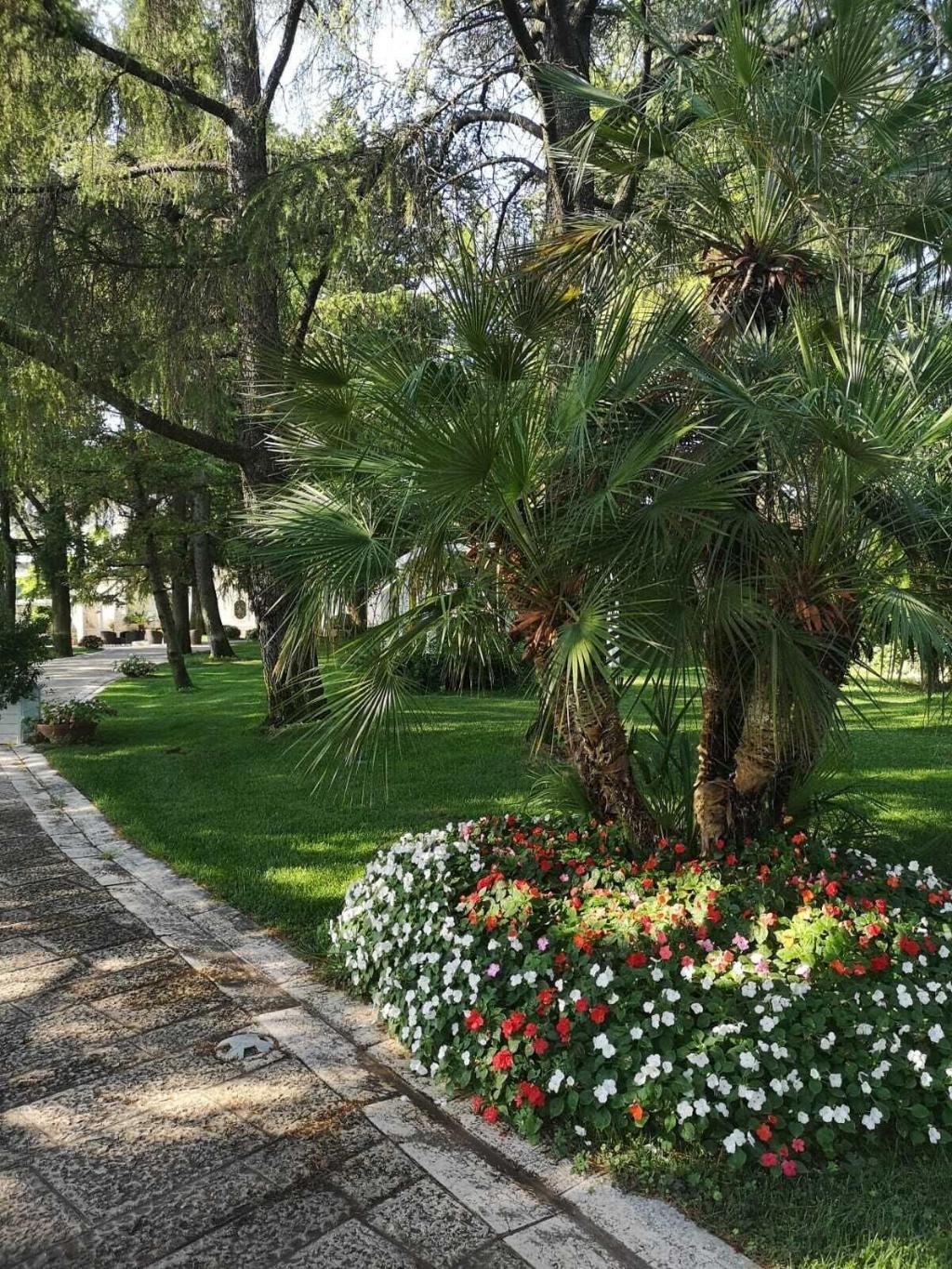 Villa Delle Querce Resort