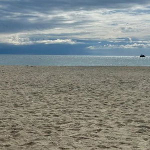 Hotel Hotel San Marco cazare Savona