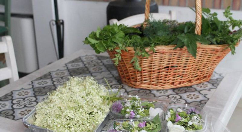 Hotel Country House Erba Regina