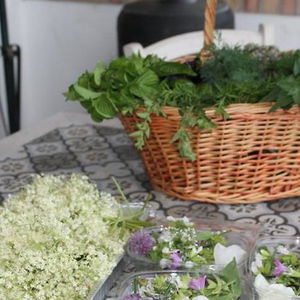 Hotel Country House Erba Regina cazare Frascati