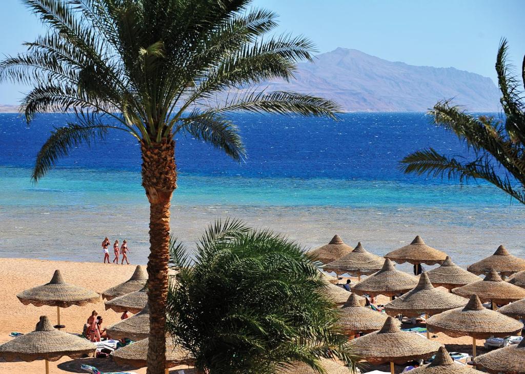 dal travel Baron Palms Sharm El Sheikh