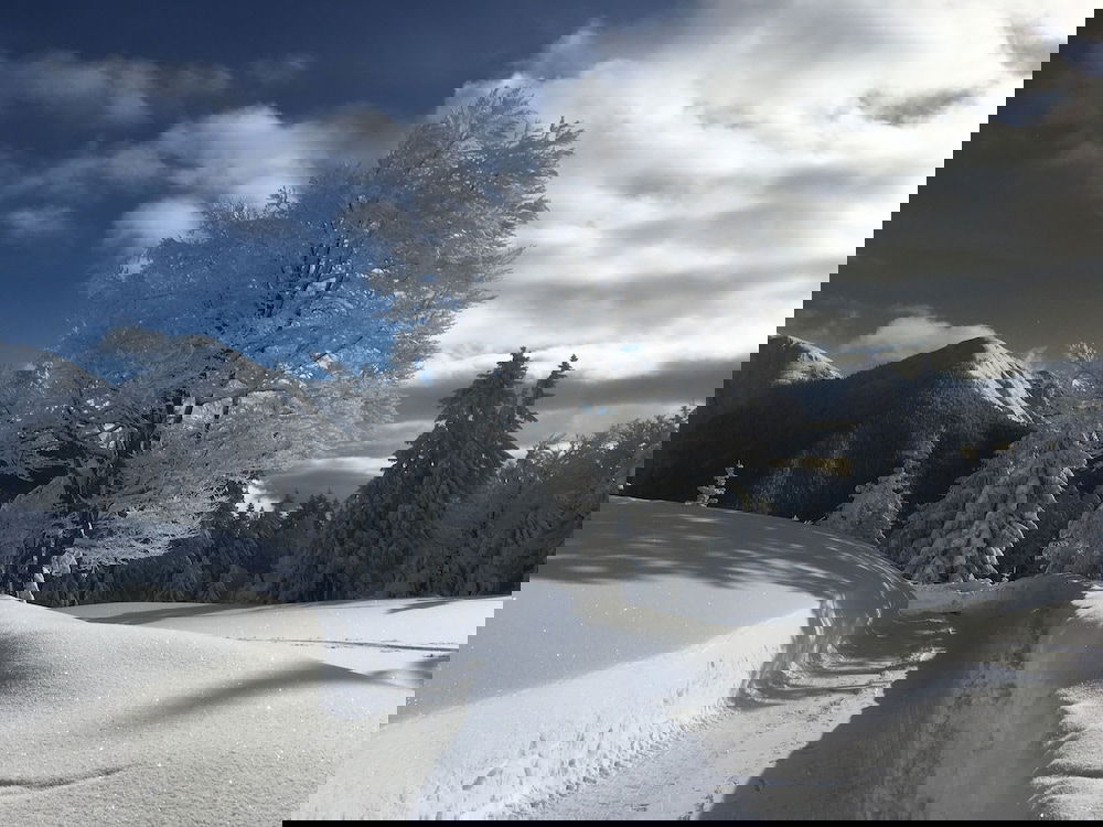 Hotel Appartements Rabitsch Hof