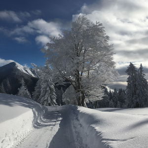 Hotel Appartements Rabitsch Hof cazare Seefeld in Tirol