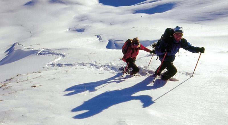 Hotel Die Lilie - Hotel Garni