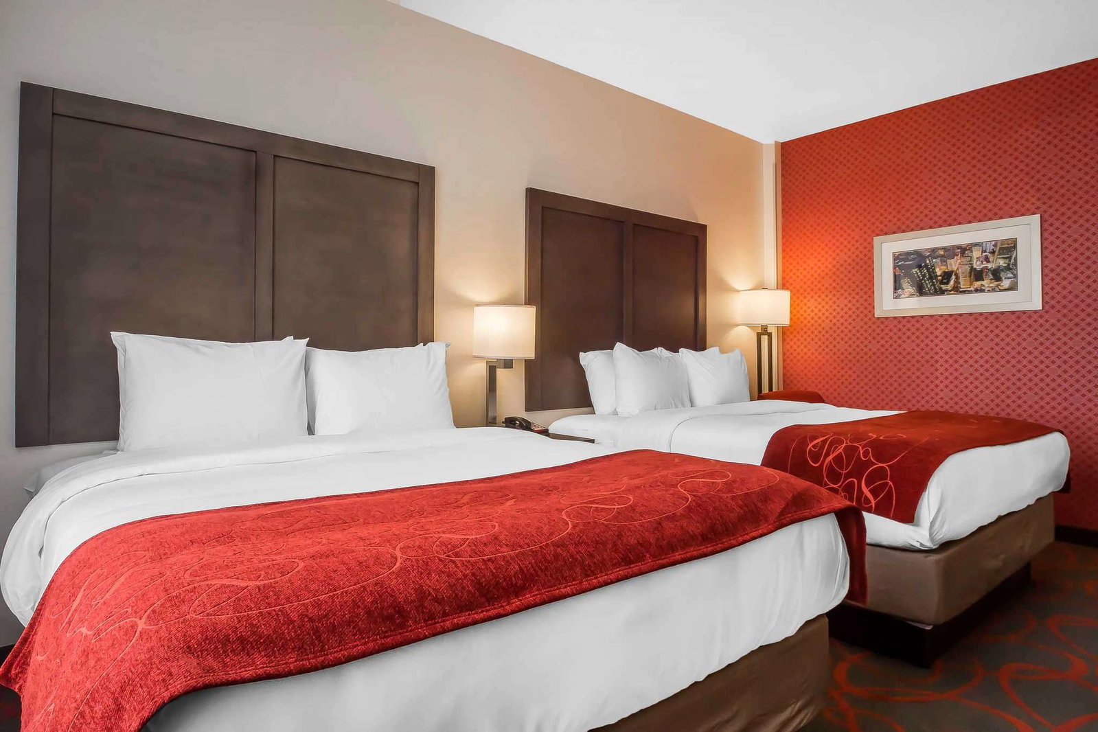 Comfort Inn & Suites Near Stadium