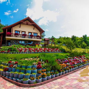 Hotel Németh Resort cazare Sovata