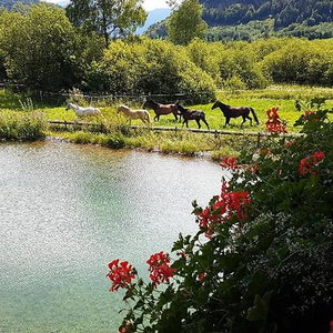 Hotel Moarhof cazare Walchsee