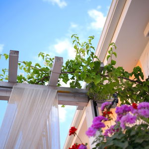 Hotel Hotel Opera cazare Larnaca