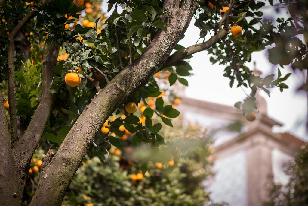Hotel Quinta São Miguel De Arcos