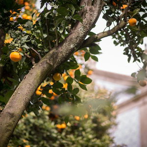 Hotel Quinta São Miguel De Arcos cazare Vila do Conde