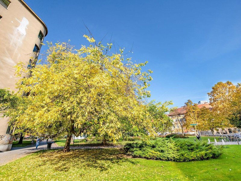 Hotel Urban Center Boutique Hotel