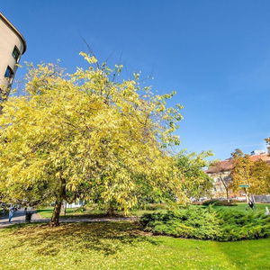 Hotel Urban Center Boutique Hotel cazare Ljubljana