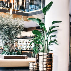 Hotel Grand Plaza Hotel And Congress Centre cazare Ljubljana