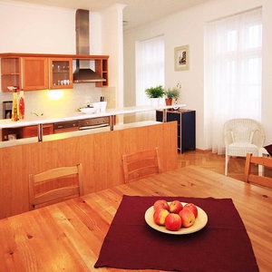 Sejur Prague Central Apartments vacanta Praga