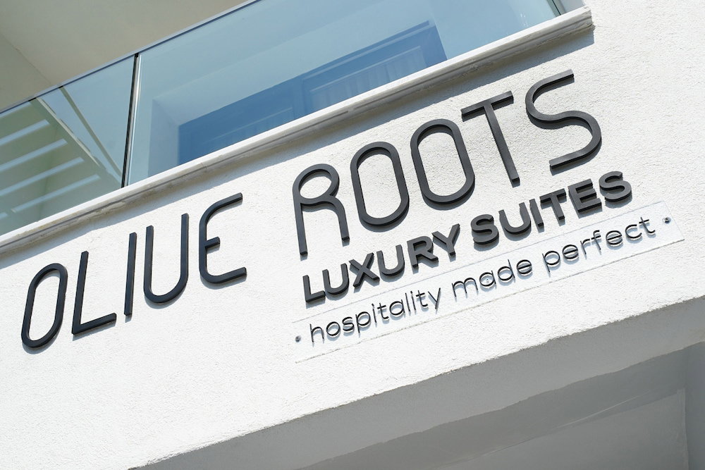 Olive Roots