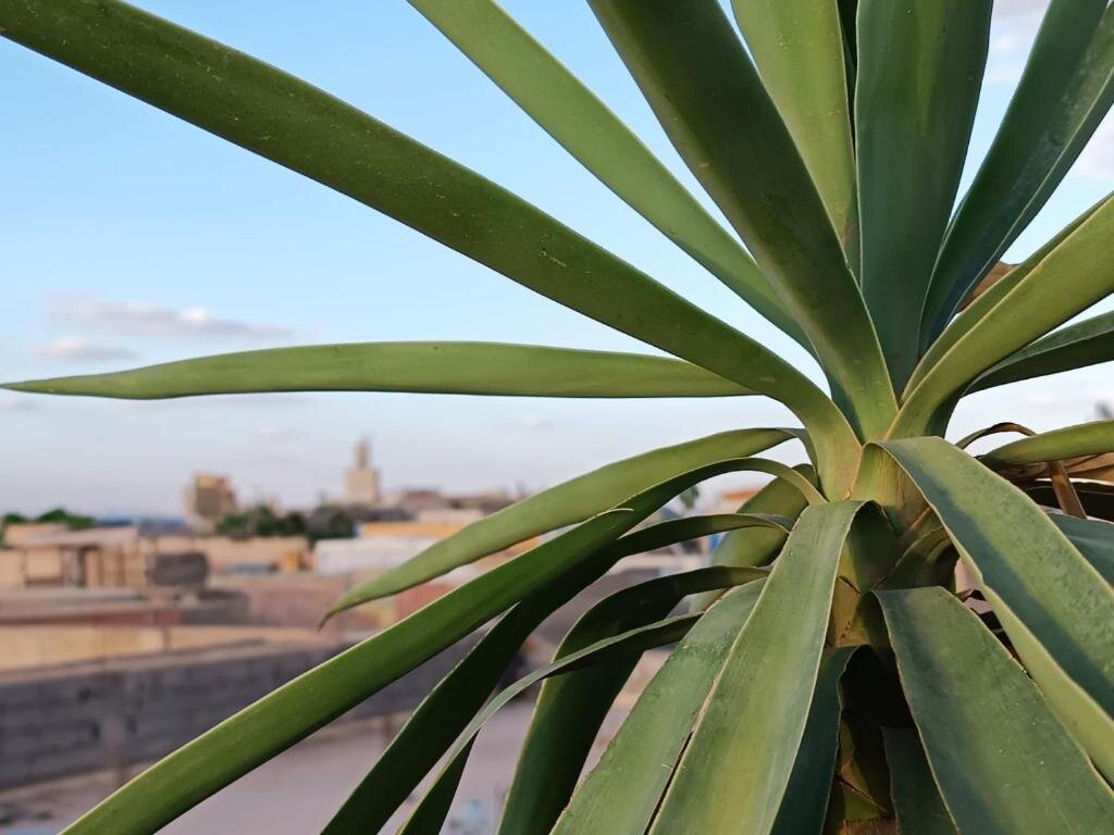 Hotel Terrace House 88