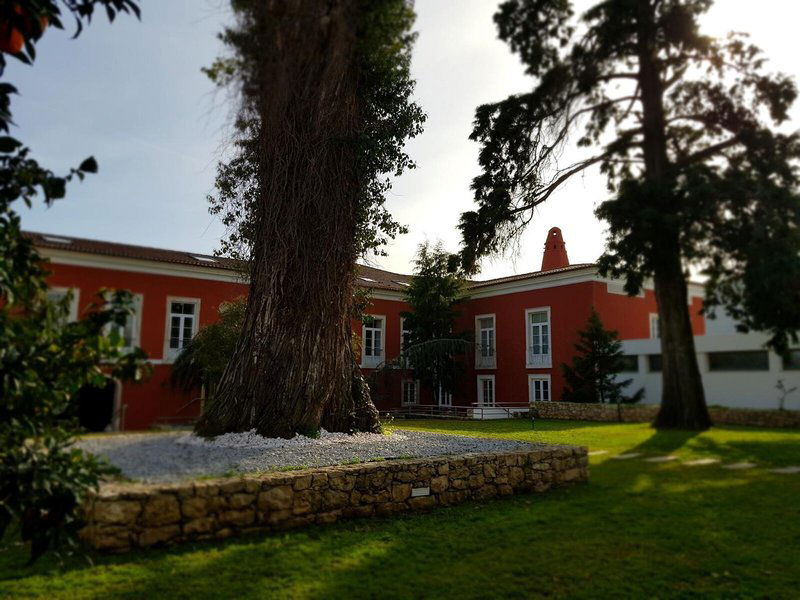 Hotel Palacio De Sao Silvestre