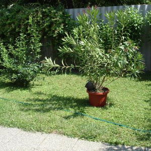 Hotel Liza Apartman cazare Gyula