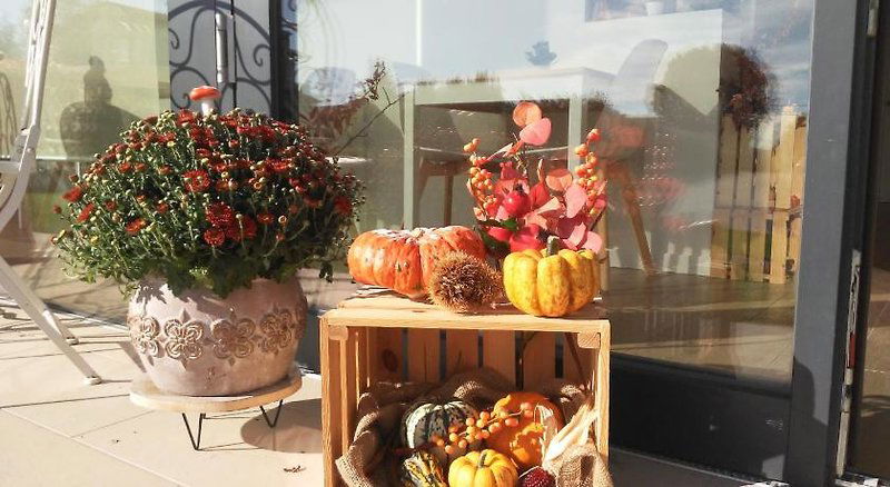 Hotel Stella Del Garda