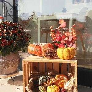 Hotel Stella Del Garda cazare Lazise