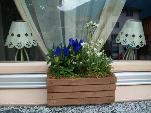 Hotel Garni San Lorenzo