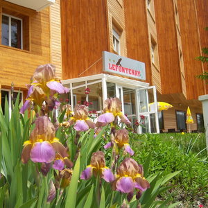 Hotel Le Fontenay cazare Chamonix-Mont-Blanc