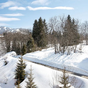 Hotel Hôtel L'Arboisie cazare Megeve